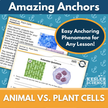 Amazing Anchors Phenomenon Pages Animal Vs Plant Cells By Kesler Science