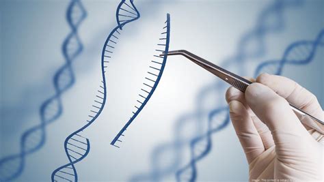 Arbor Biotechnologies Biotech Startup Co Founded By Mit S Feng Zhang Unveils New Crispr Tool