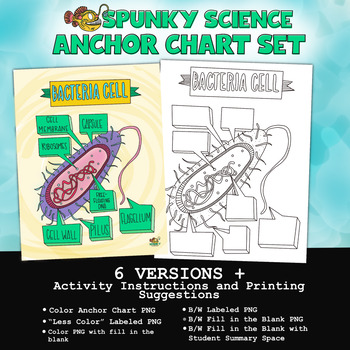 Bacteria Cell Anchor Chart Poster Activity Set By Spunky Science