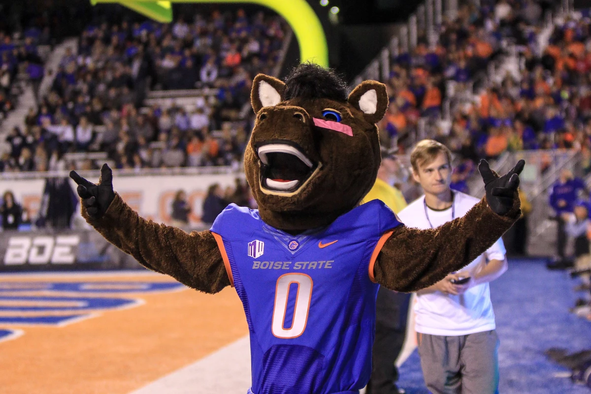 Bsu S Buster Bronco Lives A Double Life As Another College S Mascot