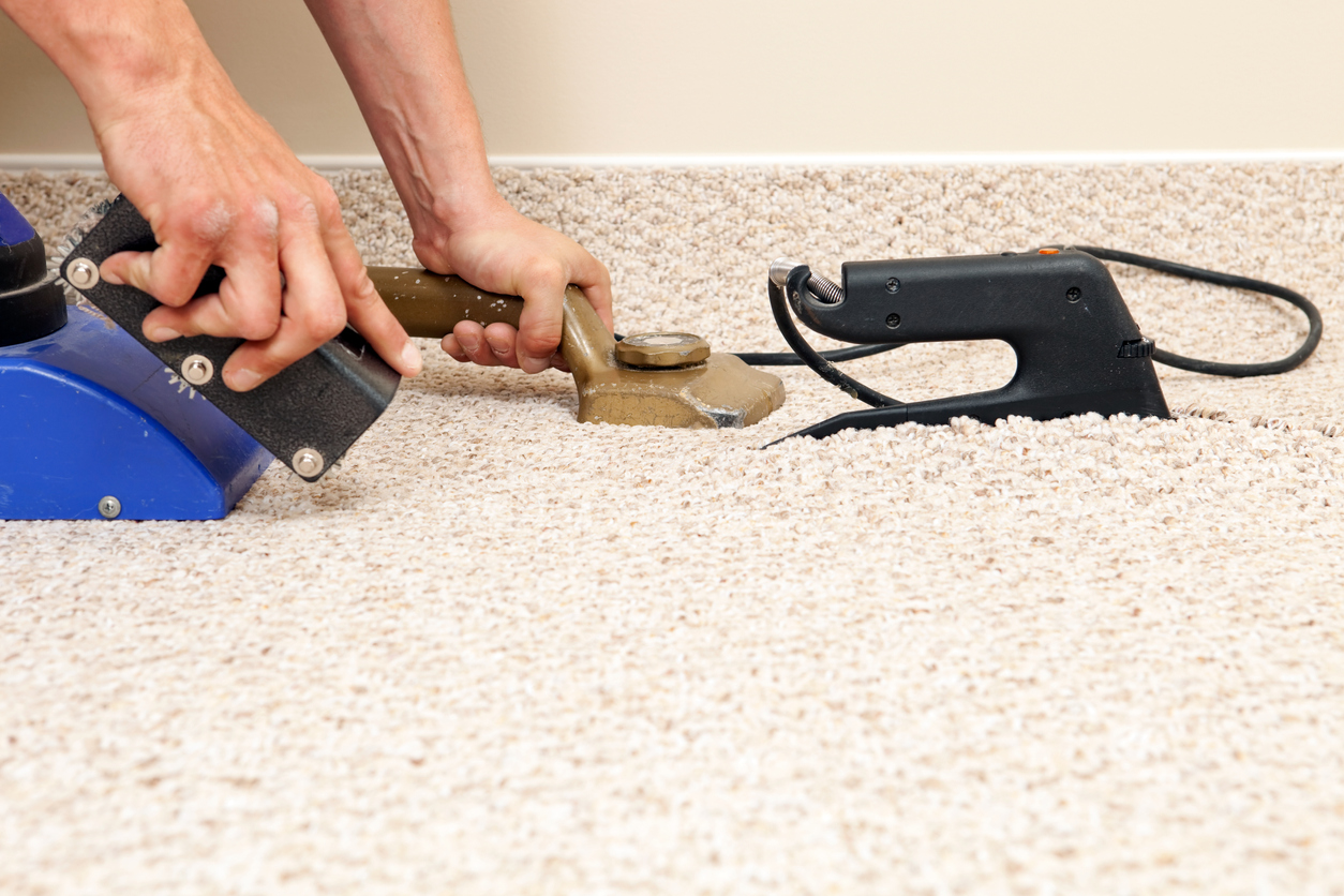 Carpet Cleaning 6 Tips From The Pros Prim Mart