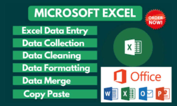 Do Ms Excel Data Cleaning Formatting Sorting And Filtering By Mandarvardiwale Fiverr