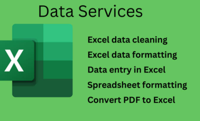 Do Professional Excel Data Cleaning And Formatting By Aartinawlakhe