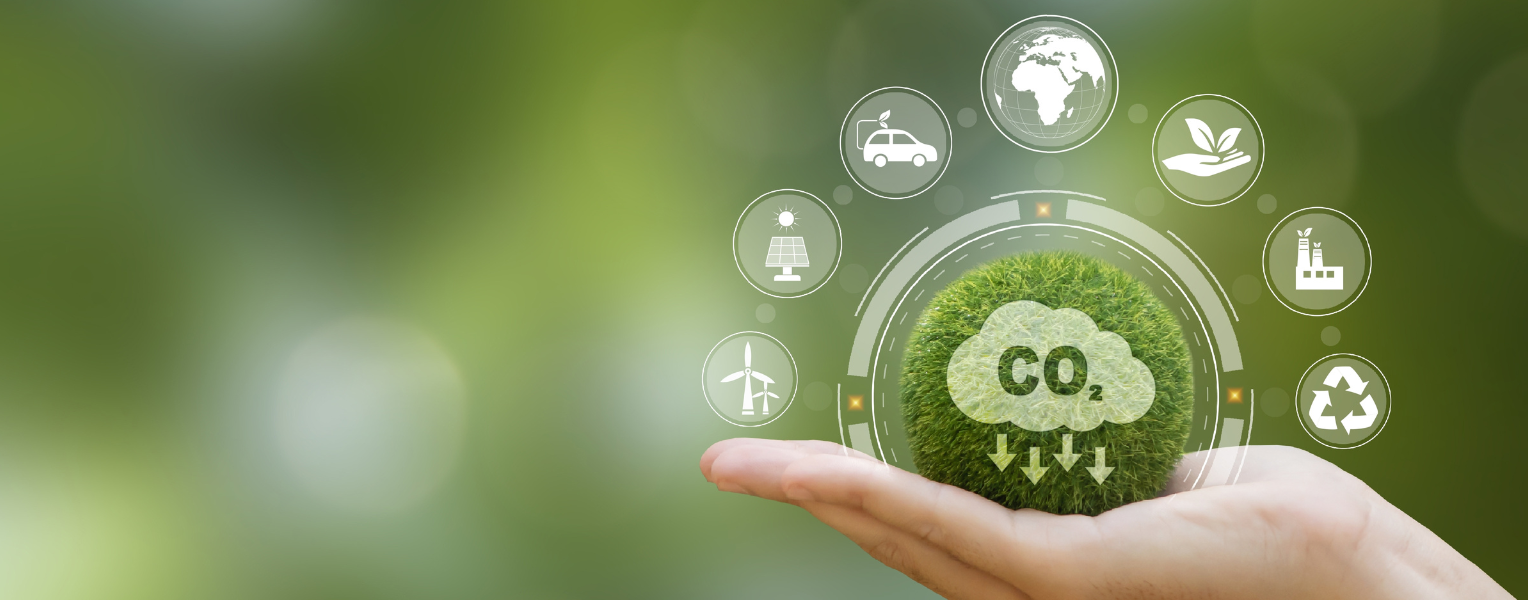 Driving Change On International Reducing Co2 Emissions Day And Beyond