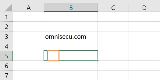 Excel Cursor And Mouse Pointer Shapes