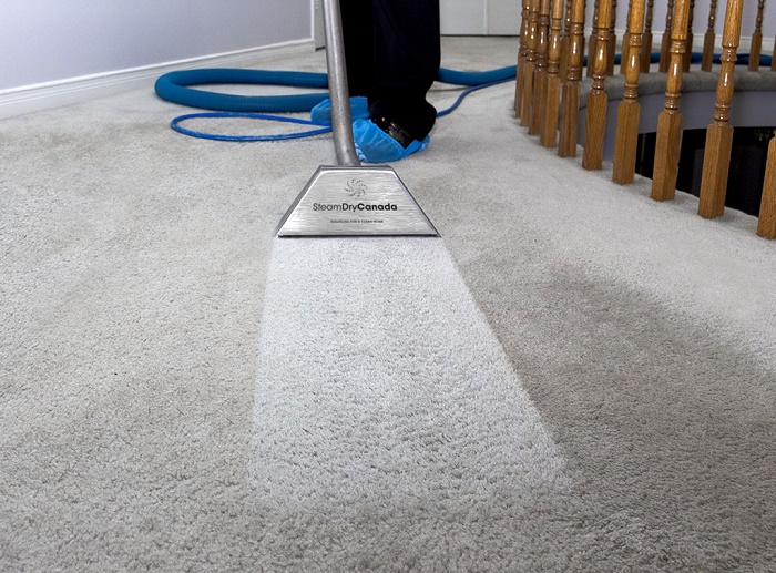 How Often Should You Clean Your Carpets Essential For Health And Hygiene