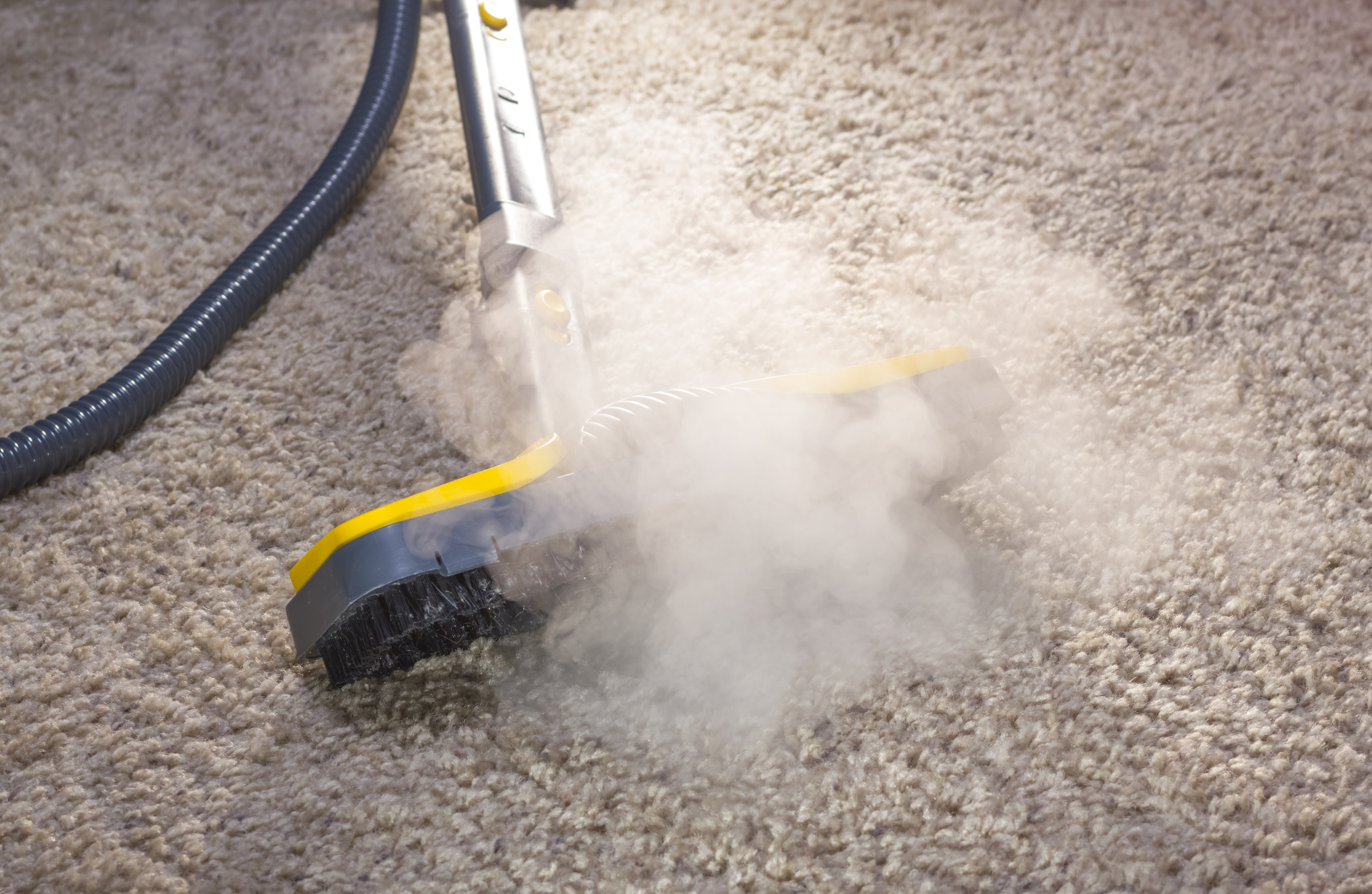 How To Clean Your Carpets Easy Carpet Cleaning Tips Tricks Youtube