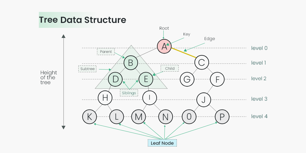 Introduction To Set Data Structure And Algorithm Tutorials