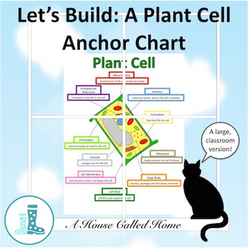 Let Amp 39 S Build A Plant Cell Anchor Chart By A House Called Home Tpt