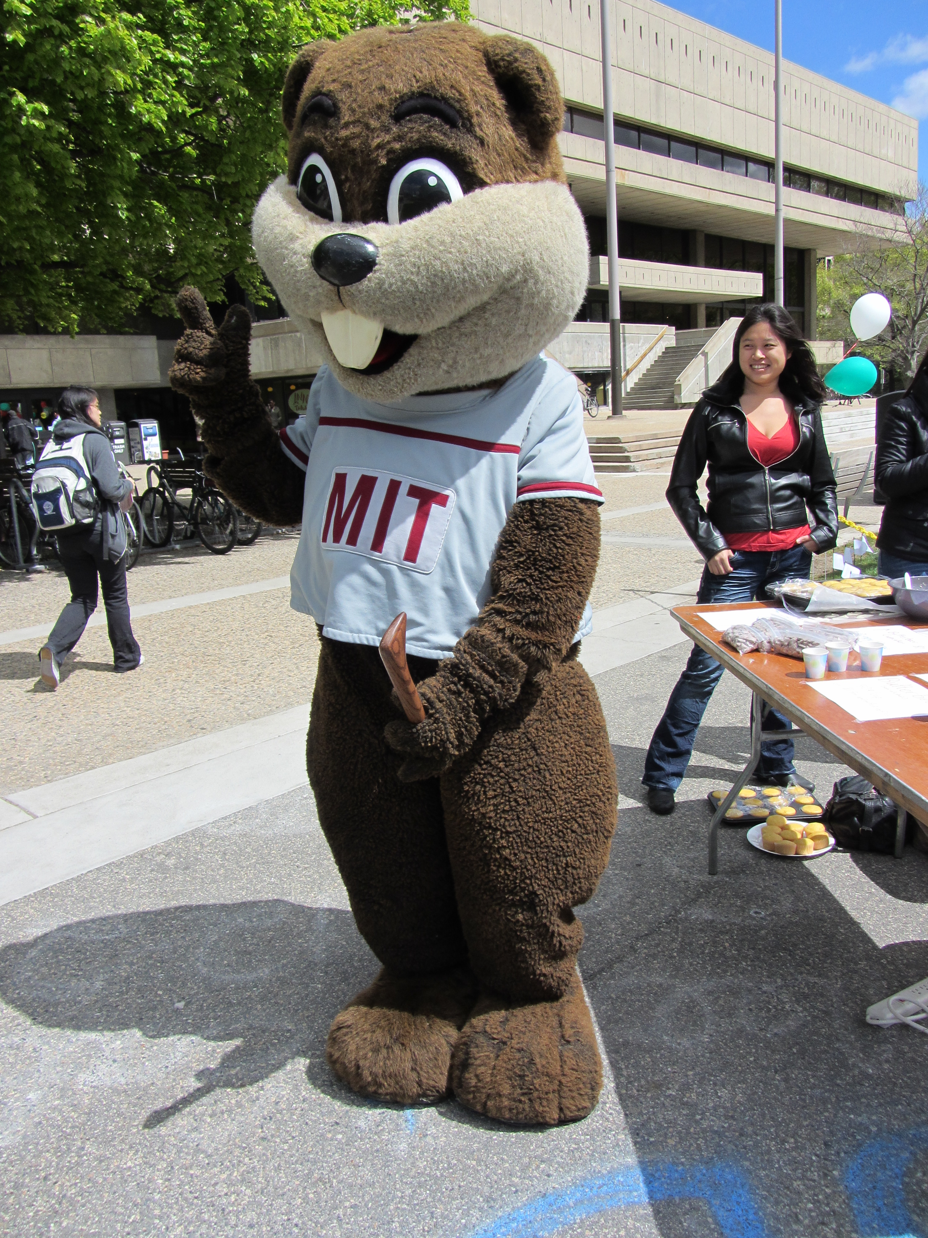 Mit Mascot