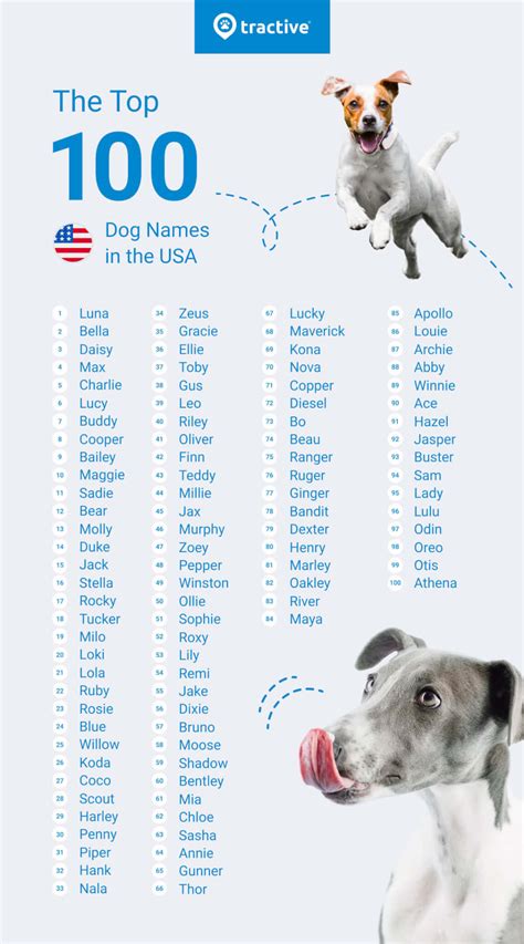 Most Common Dog Names 2025 Grace Margit