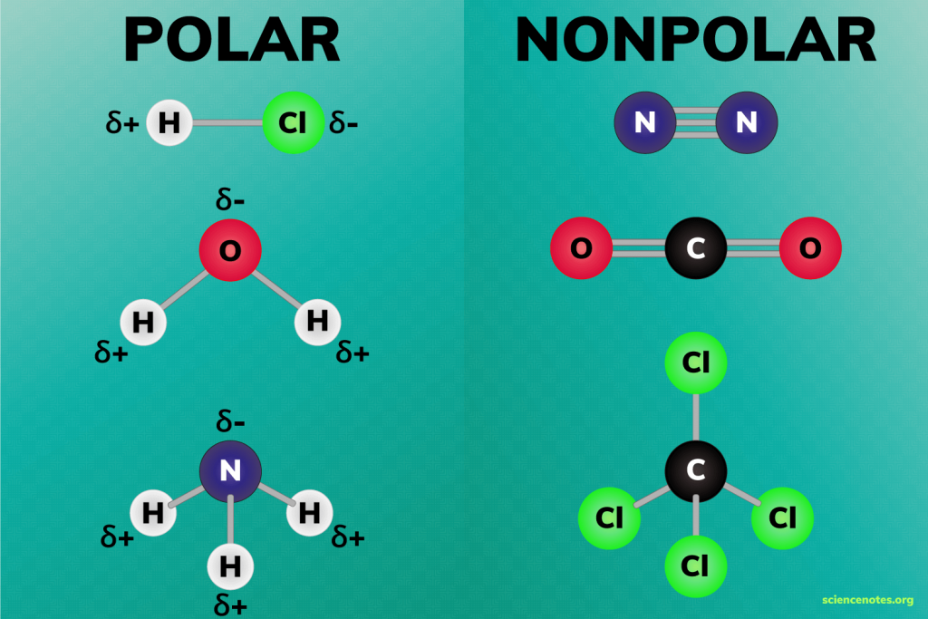 Polar Molecules Montana Science Partnership