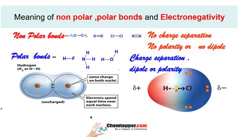 Polarity Explained For Kids