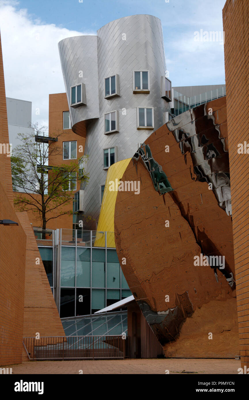 Ray Maria Stata Center Frank Gehry Massachusetts Institute Digital Art