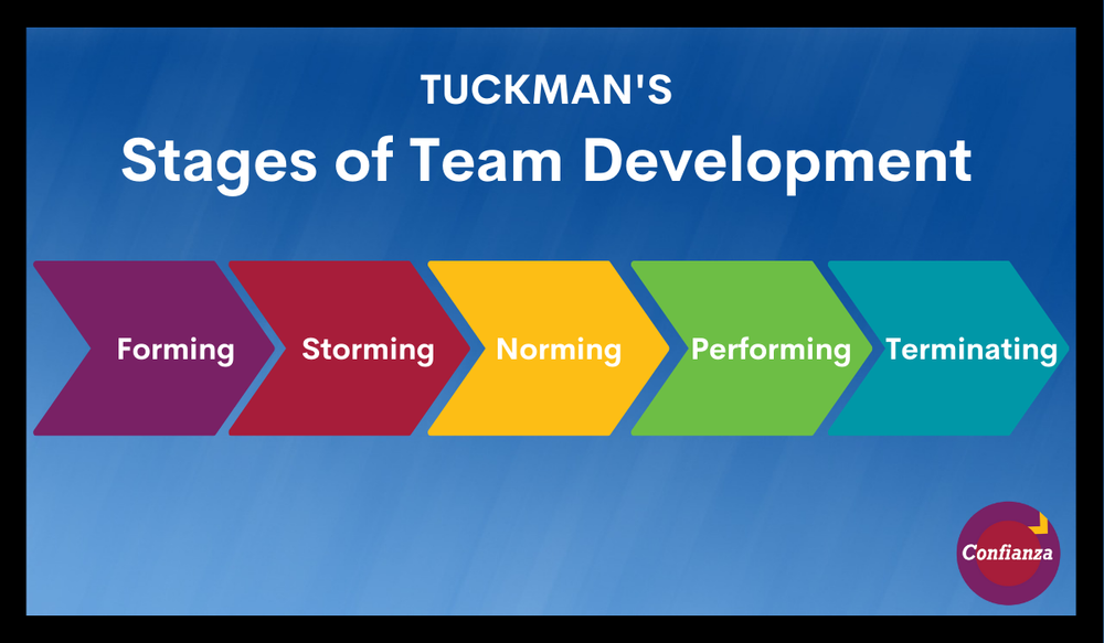 Stages Of Team Development Confianza