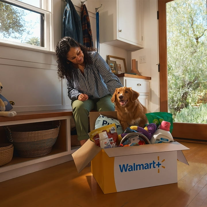 Walmart Inhome In Home Grocery Delivery